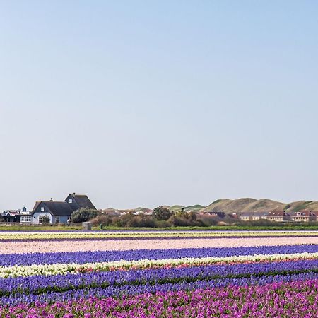 Duinland 251 - Park Duinland Sint Maartenszee Sint Maartensvlotbrug المظهر الخارجي الصورة