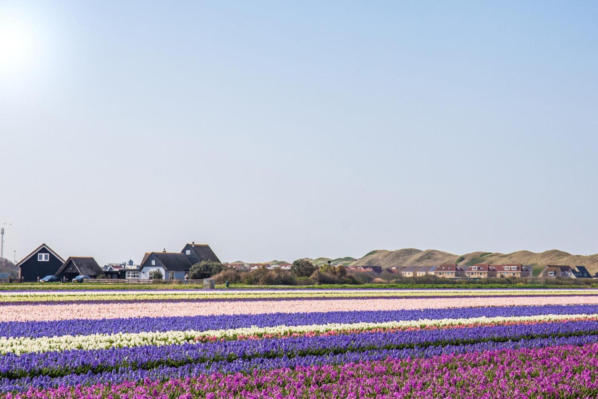 Duinland 251 - Park Duinland Sint Maartenszee Sint Maartensvlotbrug المظهر الخارجي الصورة